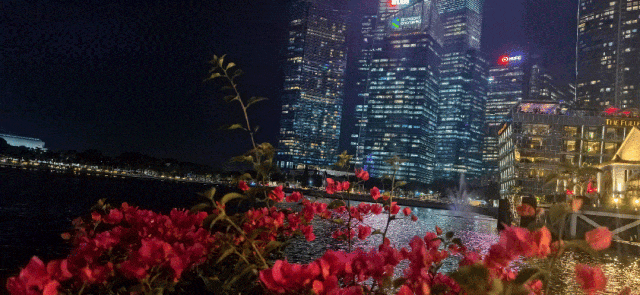 49e9a9f27783b82b006ae8cb03895f7b_640_wx_fmt=gif&from=appmsg&randomid=yw4tjsuf&tp=webp&wxfrom=10005&wx_lazy=1.gif